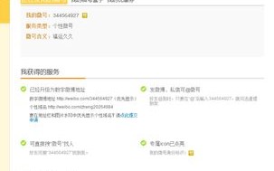 如何为新浪博客更换自定义域名？