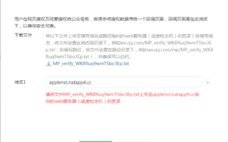 SunnyNGrok与微信可信域名配置详解
