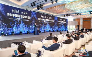 龙网中国，推动数字化建设，引领创新发展的新时代