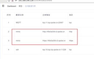 跨越局域网的网页访问，探索未注册域名的网页访问策略