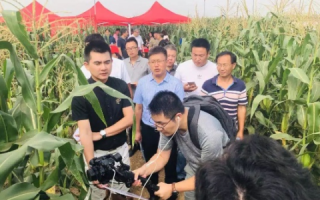 探秘玉米网，一个农业资讯平台的实践探索与应用心得