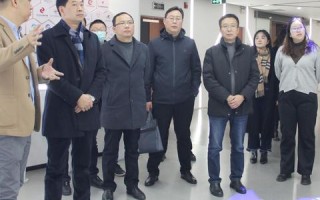 创优数据的艺术，挖掘、优化与应用策略深度解析