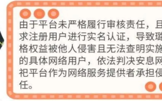 使用他人二级域名构建大型网站，潜在影响与法律责任考量