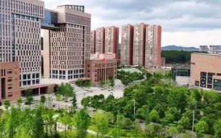 网站换域名要注意什么，全面指南与策略