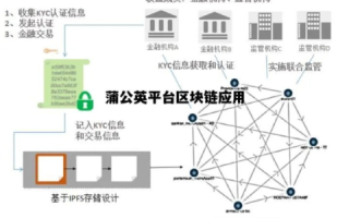 蒲公英网络，稳定性考察与实际应用体验