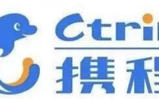 我的中文域名为什么在访问之后就变成了英文的