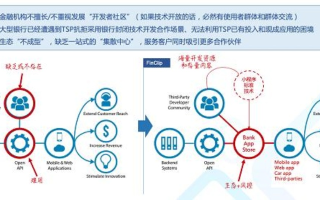博大网人，构建稳定与可持续发展的数字生态系统