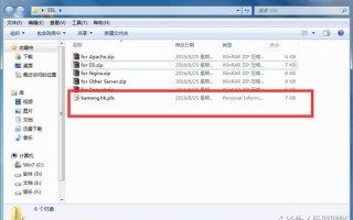 网站无法访问，排查IIS配置与域名正确性的背后原因