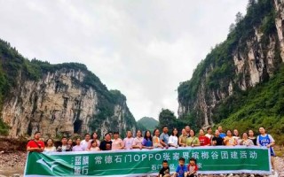 网线后，探索网络世界的奇妙之旅