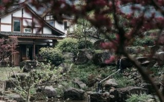 红谷网络，探索新时代下的科技创新与未来展望