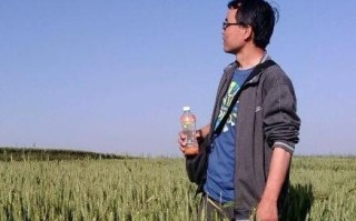 揭秘西部数码，服务质量、产品种类与市场竞争力全面剖析