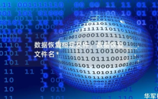 文章内容，找回遗失的域名，一场关于记忆与技术的探索之旅