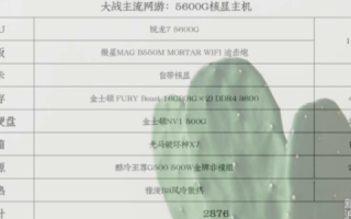 大叔主机，性能、价格与用户体验的全面剖析