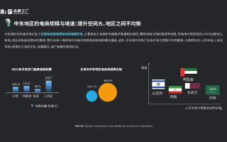 中东互联网现状及发展趋势解析