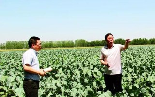 探索梦飞科技，一场科技与使用者的深度对话
