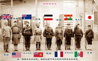 湖北九凤，在历史与现代中寻求稳定与传承