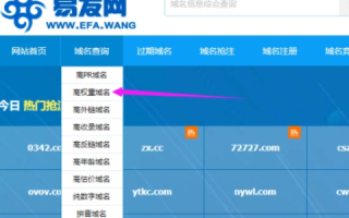 怎样查到一个域名的最早注册时间