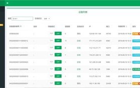 如何高效查找并设置两个域名，步骤与数据指导