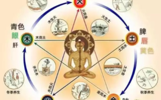 五行互联，自然界的和谐旋律与人生启示