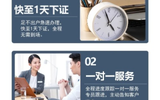 无忧智网官网，打造智能化时代的网络服务新标杆