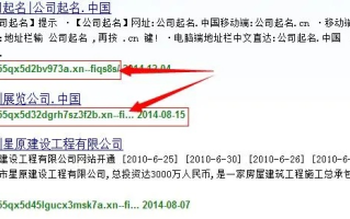 事业单位中文域名名称是什么，探索与解析
