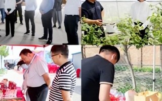 博洋网络，创新技术引领未来，打造互联网行业的领航者