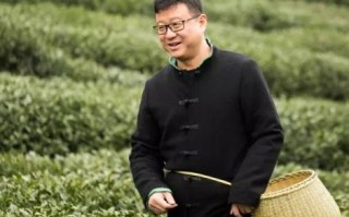 网站输入域名直接是一片空白，只有在域名后加具体的网页文件路径