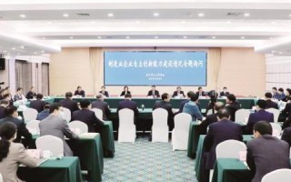实速网络科技，引领数字创新的网络科技先锋