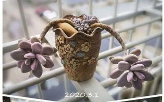 俊易数据应用实测，企业级数据管理工具的优势与探索