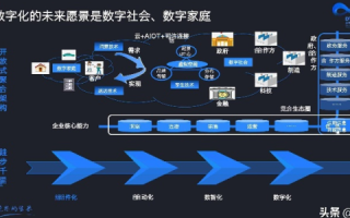 麦云网络使用心得，实现数字化转型的强大工具