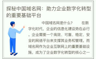 中国域名网稳定性分析与建议