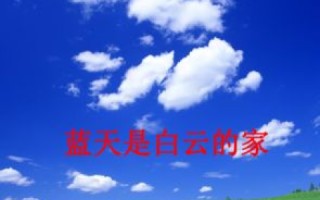 小鸟云，重塑云端协作，开启高效办公新时代