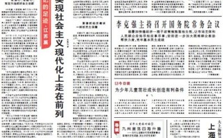 域名安全与所有权确认，身份证号之外的考量因素