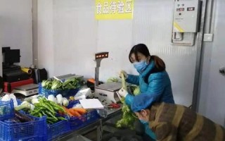 至快商务主机官网，重塑企业响应速度，开启高效商务新时代