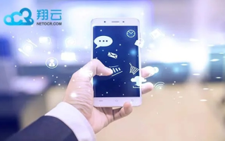 海豚云真的稳定吗？揭开云服务的神秘面纱