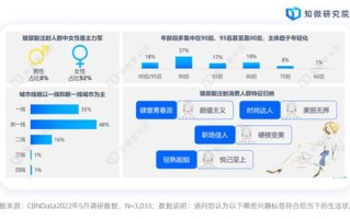 中东数据官网，洞察中东市场，精准捕捉数据背后的商机