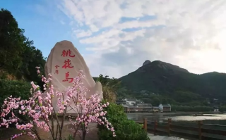 桃花岛测评，一个浪漫与冒险并存的梦幻之地