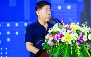 天津数据网使用经验分享，全面解读与实践应用