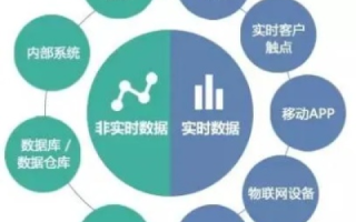 中通数据，重塑企业决策生态的数据力量探索