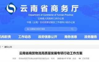 猫云体验，一位用户的真实使用体验与深度解析
