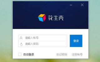 花生壳动态域名解析成功，但IIS安装后无法访问，问题解析与解决步骤