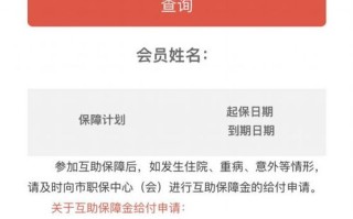 花生壳申请的域名打不开求高手赐教