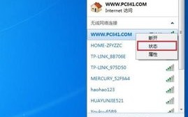 2.方法一，使用DNS查询