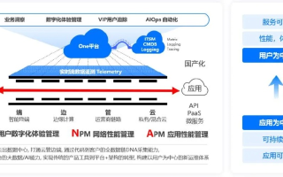 莱卡云，云服务的新篇章—探索、体验及趋势展望