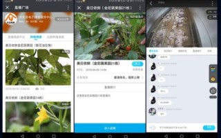 快鱼云平台，打造高效、安全的云端解决方案