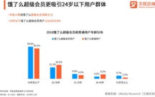 网站域名层次解析，从顶级域到子域名的全面探索