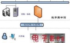 探索云计算中的小鸟云，云服务器如何构建高效数字世界