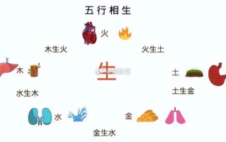 五行互联，拆解与重构传统文化的智慧脉络