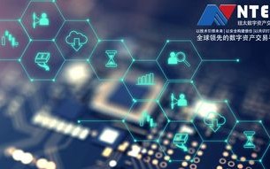 红谷网络，探索未来的数字商业模式