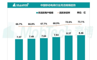 大数据时代的揭秘者—雪狼数据官网，精准洞察市场，赋能企业决策